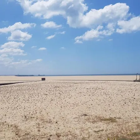 Casa Agricola Do Limonete * 菲盖拉-达福什