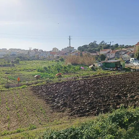 Casa Agricola Do Limonete בית נופש