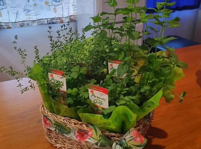 Casa Agricola Do Limonete * Figueira da Foz