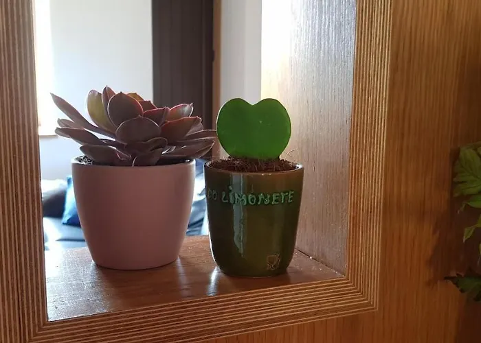 Nyaraló Casa Agricola Do Limonete *