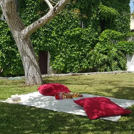 펜션 Casa Agricola Do Limonete