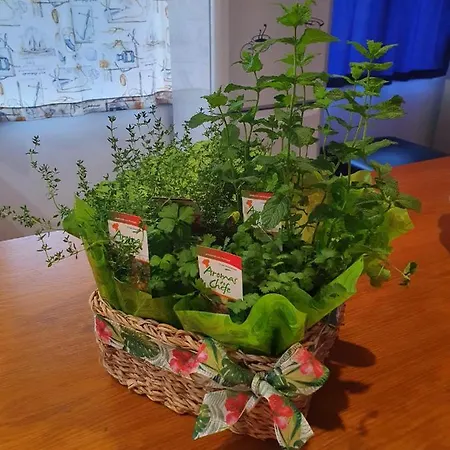 Casa Agricola Do Limonete * Figueira da Foz