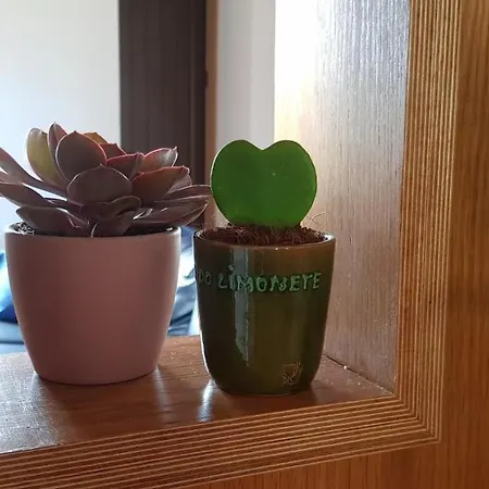 Дом отдыха Casa Agricola Do Limonete *