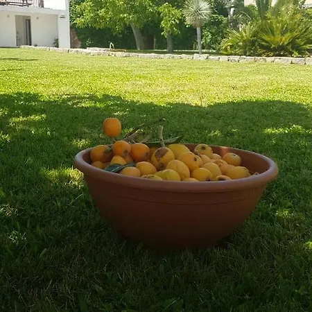 Casa Agricola Do Limonete Figueira da Foz