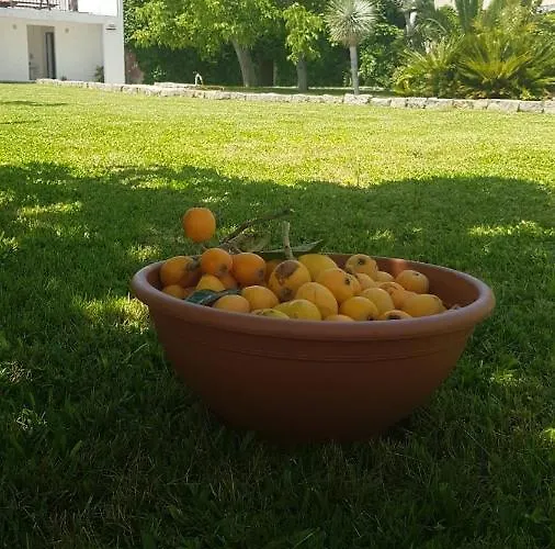 Casa Agricola Do Limonete Figueira da Foz